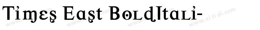 Times East BoldItali字体转换